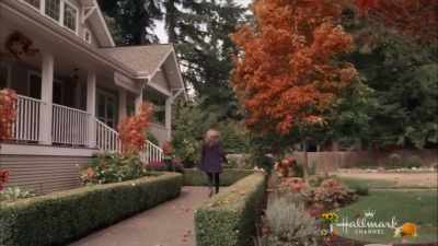 Hey, what's wrong? - A Harvest Wedding