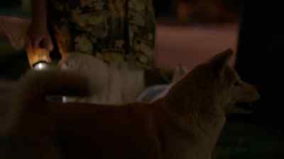 Hey, what's wrong? - American Crime Story