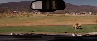 Hey! When you're on my lawn keep it in your pot! - Evan Almighty