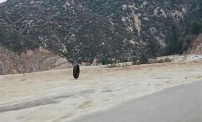 Where'd that wheel come from - The Love Bug