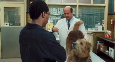 Hey where's he's gonna put that - Doctor Dolittle