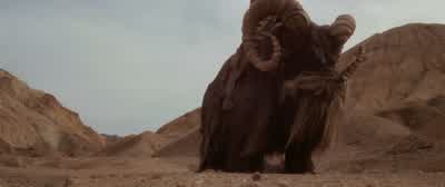 Hey, whoa just where do you think you're going? - Star Wars: Episode IV   A New Hope