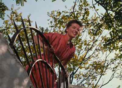 Hey. Why don't I give Harry
his big break tonight? - Summertime