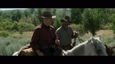 Hey, will. - Unforgiven