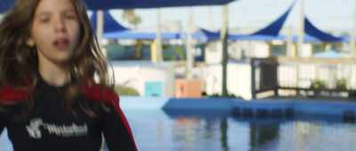 Hey, Winston,
you working or on break again? - Bernie the Dolphin 2