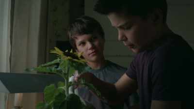 - Hey, Wyatt - The Dangerous Book for Boys
