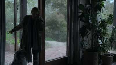 Hey. Yeah, we just got home. - The Clearing