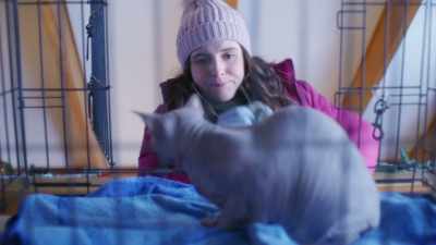 Hey. You poor thing. Oh. - The Dog Days of Christmas