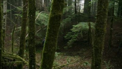 Hey. You see
anything? - The 100