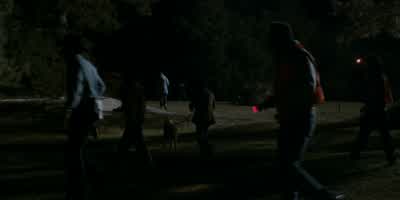 Hey, you think Earl really saw Will? - Stranger Things