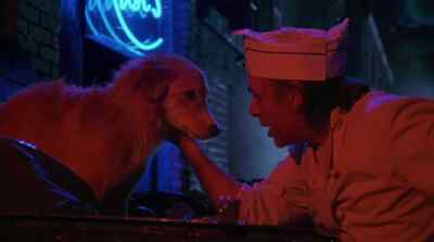 HEY, YOU'RE NEW AROUND
HERE, AIN'T YOU? - Bingo
