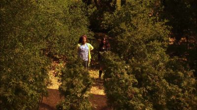 Heylia... - Weeds