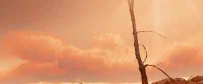 Hi, am I needed? - Allegiant