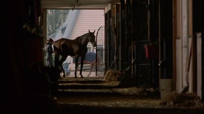 Hi Cheyenne - The Crush