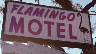 - Hi, Cindy!
- Hello, Rigo. - The Mystery of the Pink Flamingo