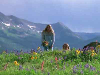 Hi, Daisy. - Mountain Family Robinson