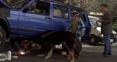 Hi, doggie. - Man's Best Friend