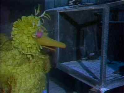 HI, FELLAS. HOW'S THINGS
UP HERE ON THE ROOF? - Christmas Eve on Sesame Street