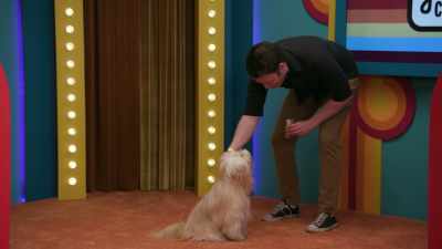 - Hi Finnegan, that's
a good boy, good boy. - Game Changer