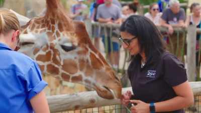 Hi, you handsome devil! - Secrets of the Zoo
