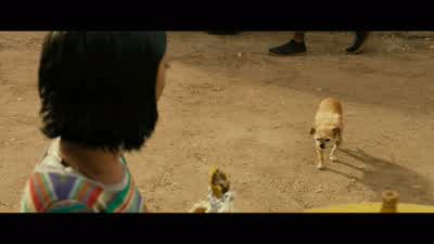 Hi. Hello. You want some? Here you go. - Alita: Battle Angel