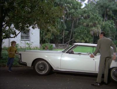HI. HOW ARE YOU? - Hawaii Five-0