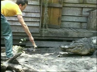 HI I'M JOHNNY KNOXVILLE - Jackass