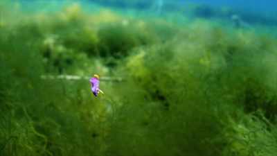 Hi. I'm Stan Eiseberg, - When Nature Calls with Helen Mirren