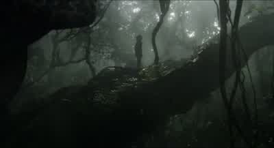 Who's out there? - The Jungle Book