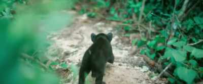 Hi, Mom. - Autumn and the Black Jaguar