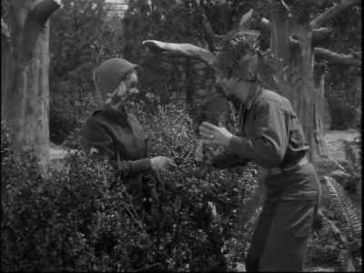 Hi. Oh, I beg your pardon. - Francis Joins the WACS