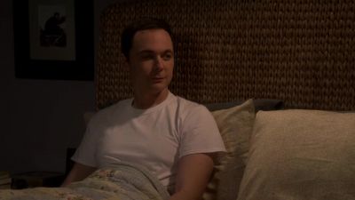 Hi. - The Big Bang Theory