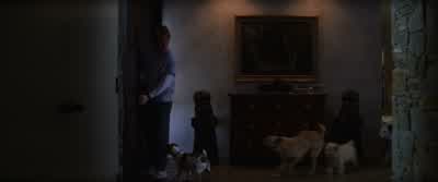 - Hi. - That'll be 31.90. - Magnolia