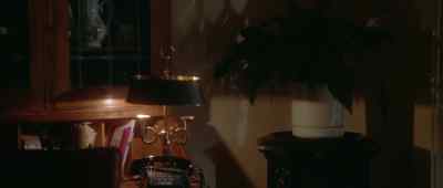 Hi. This is the Finnigan home. - Short Cuts