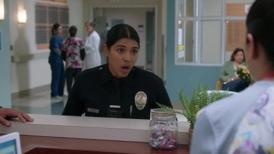 Hi, we're looking for the woman - The Rookie