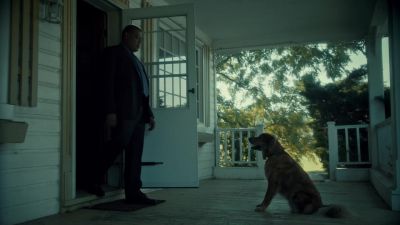 Hi, Winston. - Hannibal