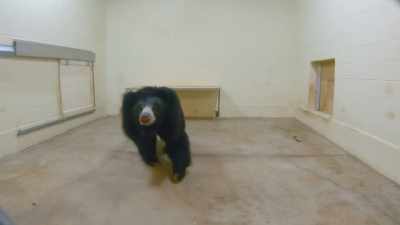 Hi, yeah, there you are. - Secrets of the Zoo