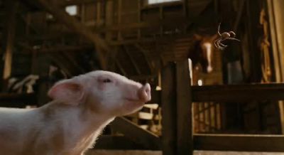Hi You're a - Charlotte's Web