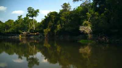 hidden down
a complex maze of waterways. - Super/Natural