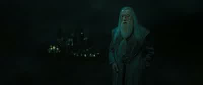 Hide her. - Harry Potter and the Deathly Hallows: Part 2