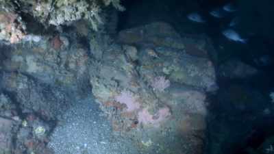 High in the mountains,
next to engraved concentric
stone age circles, - Atlantis Rising