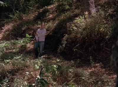 (HIGH-PITCHED ALIEN WARBLING) - The Six Million Dollar Man