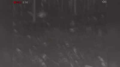 [high-pitched animal sounds] - Expedition Bigfoot