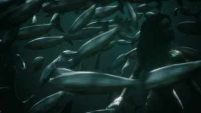 [high-pitched call] - Siren
