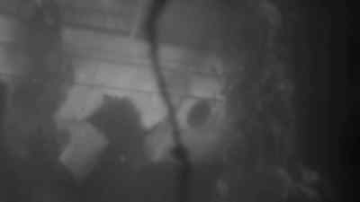(High-pitched tones) - The Horror of Party Beach