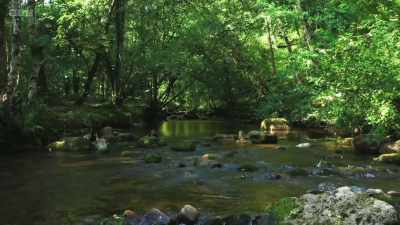 High rainfall, numerous rivers, - Wild Isles