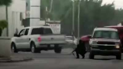 Highly trained. I mean, they're deadly. - Cowboy Cartel
