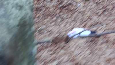 HIKERS HAVE JUST
STUMBLED UPON - Bloodlands