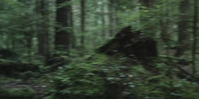 Hilde, where are we? - Home Before Dark