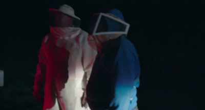 Him and I were just having - The Pollinators